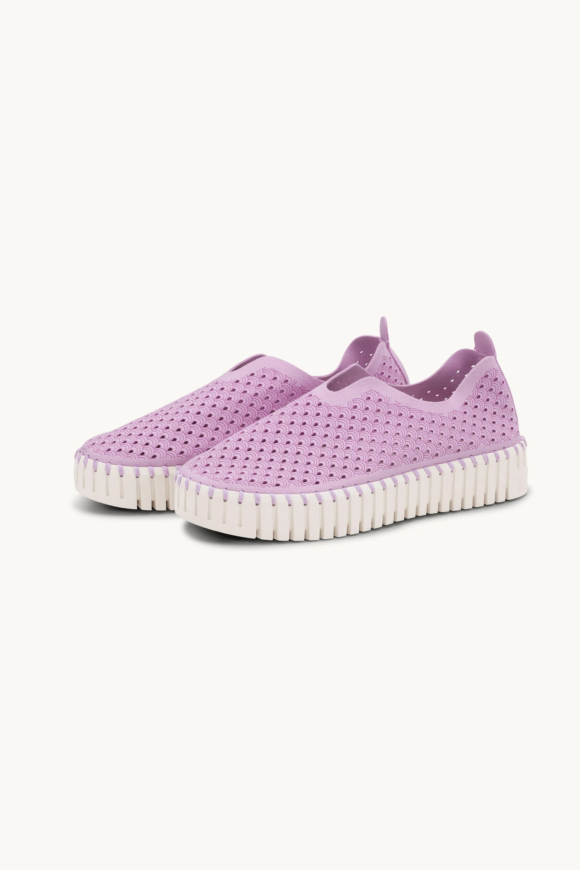 Tulip Flats Sale